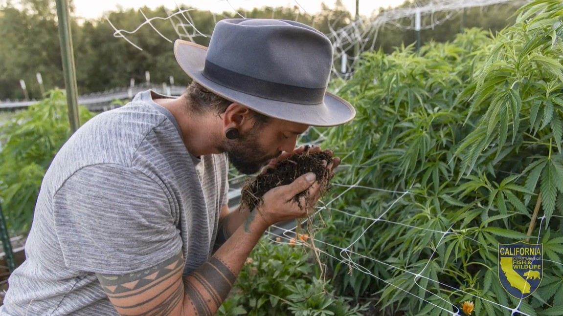 The soul of the harvest