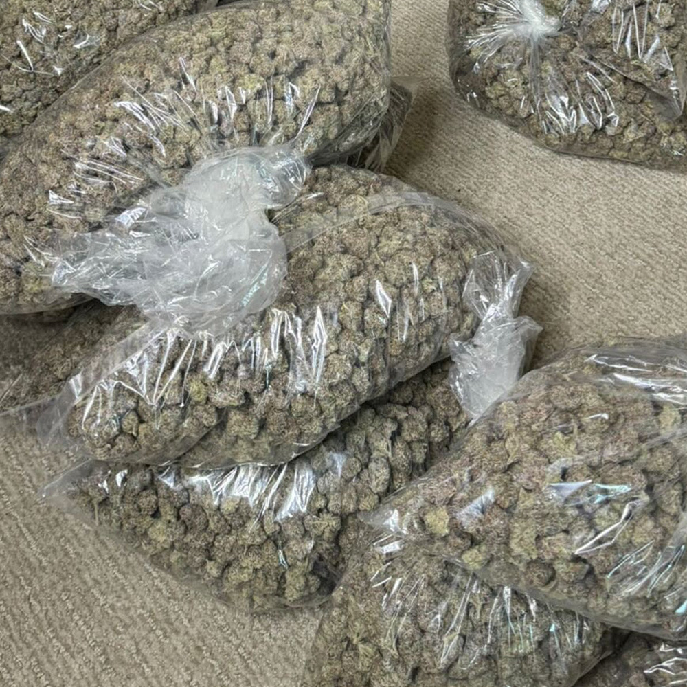 GuZ Treats (28g)