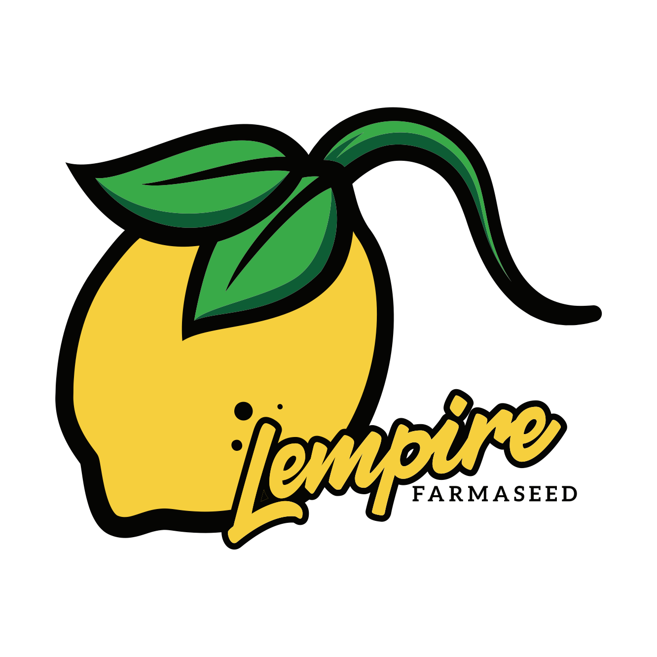 6 Z's 10 pk regular seeds